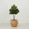 3ft. Artificial Fiddle Leaf Fig Tree With Handmade Cotton & Jute Woven Basket DIY Kit